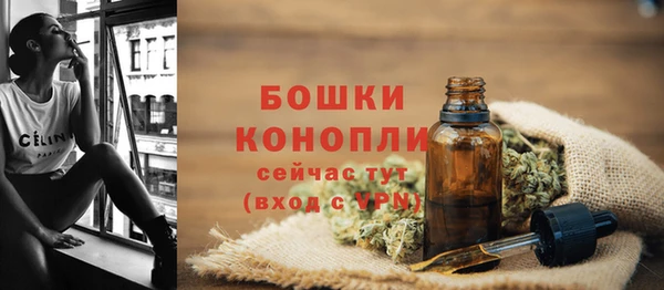 прущие грибы Лагань