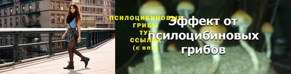 дмт Лабытнанги