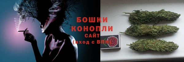 дмт Лабытнанги