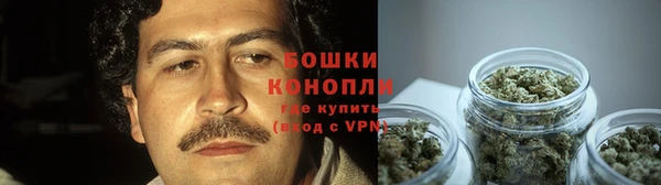 дживик Ладушкин