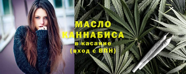 дмт Лабытнанги
