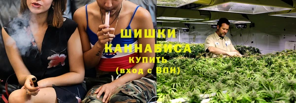 прущие грибы Лагань