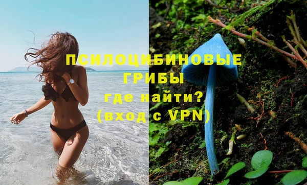гашик Краснотурьинск