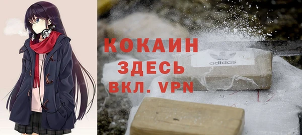 прущие грибы Богородск