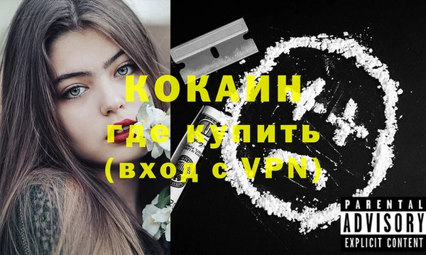 прущие грибы Лагань
